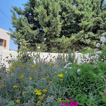 Daire Bright Town House Páros